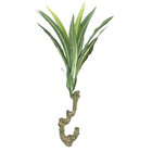 CONJUNTO MINI IUCA X3 COM 51 FOLHAS - 40CM