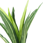 CONJUNTO MINI IUCA X3 COM 51 FOLHAS - 40CM