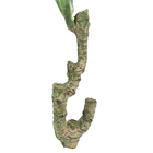 CONJUNTO MINI IUCA X3 COM 51 FOLHAS - 40CM