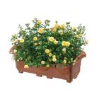 Mini Jardineira Na Cor Telha (0,4ml) Injeplastec