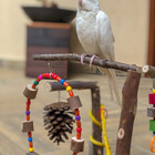 Mini Parque Morapet  Natural