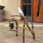 Mini Parque Morapet  Natural