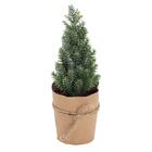 Mini Pinheiro Decorativo No Vaso 1un 18x6x6 1108428