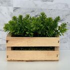 Mini Vaso Caixa De Madeira Decorativa