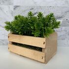 Mini Vaso Caixa De Madeira Decorativa