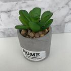 Mini Vaso De Cimento Decorativo Home Com Suculenta