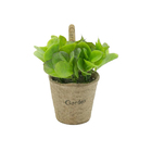 Mini Vaso Papel Bean Leaves Verde