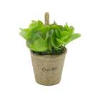 Mini Vaso Papel Bean Leaves Verde