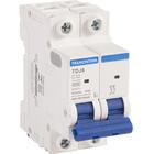 Minidisjuntor Tdj6ka 2 P 32 A Curva C Tramontina