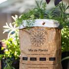 Mix De Plantio  1l