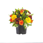 Mix Flores Pote 09