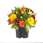 Mix Flores Pote 11