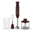 Mixer 3 Em 1 Electrolux Vermelho Escuro 600w Haste Em Inox E