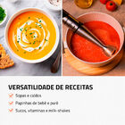 Mixer Turbo Inox Mondial Preto E Inox 500w M-16-bi 110