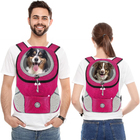 Mochila Canguru Lorben Bolsa Transporte Pet Cães Gatos Passei