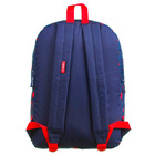 Mochila Escolar E Casual Feminina Teen - Capricho - Marinho11