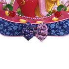 Mochila Escolar Impermeável De Costas Bela Adormecida - Princ