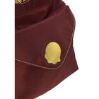 Mochila Harry Potter Gd Vi (6931759222259)