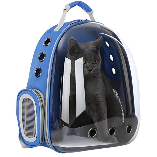 Mochila Pet Panorâmica Para Transporte De Cães E Gatos - Azul