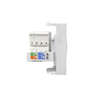 Módulo 1 Tomada RJ45 Branco Dicompel