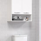 Módulo Armário Banheiro Multiuso 2 Portas