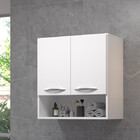 Módulo Armário Banheiro Multiuso 2 Portas