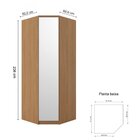 Módulo Canto 1 Porta Com Espelho 100% Mdf Decor Freijó