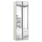 Módulo Closet 2 Portas 2 Cabideiros Espelhado Prime Plus Luciane