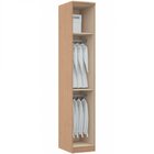 Módulo De Guarda Roupa 1 Porta Elegance  Angelin/níquel