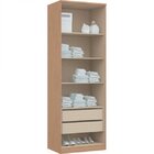Módulo De Guarda Roupa 2 Portas 2 Gavetas Elegance  Angelin/b