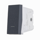 Módulo De Interruptor Bipolar Paralelo 10A Grafite Orion Schneider