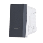 Módulo De Interruptor Paralelo 10A Grafite Orion Schneider