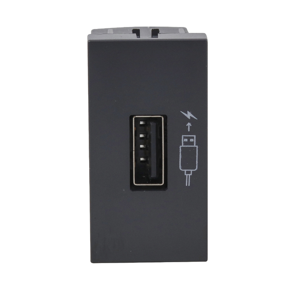 Módulo de Tomada USB 2.1A Bivolt S30 ou S35 Grafite Simon