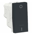 Modulo Interruptor Bipolar 1 Posto 250v Grafite Schneider