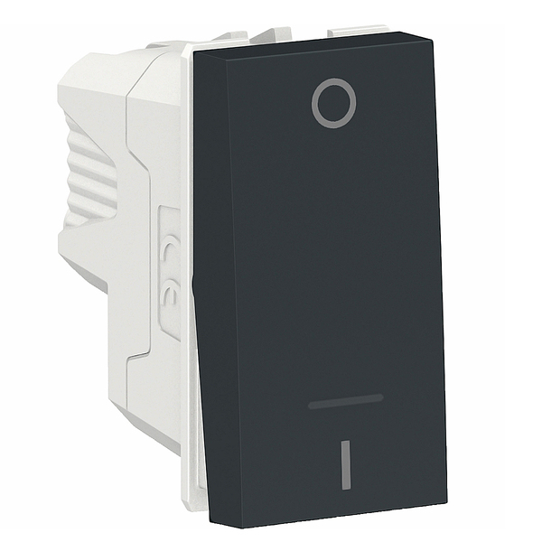 Modulo Interruptor Bipolar 1 Posto 250v Grafite Schneider