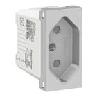 Módulo Tomada 2p+t 10a 250v Sem Placa Cinza Schneider