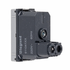 Módulo Campainha Cigarra 220V Cinza Pial Plus+ 