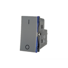 Módulo Interruptor Bipolar Simples 10A Cinza Pial Plus+