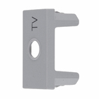 Módulo Saída de Fio Cinza Pial Plus+       