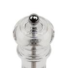 Moedor De Acrilico Nancy Para Sal Grosso E Pimenta Do Reino