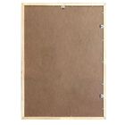 Moldura Pronta Preta 40x50cm Tropical