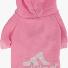 Moleton Adidog Rosa P