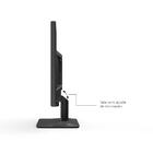 Monitor 19.5" Hq Led, Widescreen, 75hz, Hd, Hdmi, Vga, Vesa,