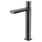 Monocomando Banheiro Bica Alta Elegance Grafite Liso Fani