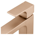 Monocomando Para Banheiro Bica Alta Retta Champanhe Fani