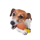 Mordedor Brinquedos Para Cachorro Kit Vinil Pet Cães