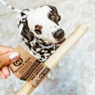 Mordedor Sustentável Wood N' Pets - Madeira De Café Durável P