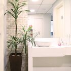 Mosaico Atelier Clássica 30x30 01m²