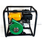 Motobomba A Gasolina Buffalo Bfg 2 ¹/2 X 2'' Centrífuga  7cv