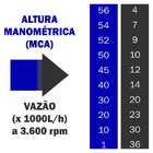 Motobomba A Gasolina Buffalo Bfg 2 ¹/2 X 2'' Centrífuga  7cv